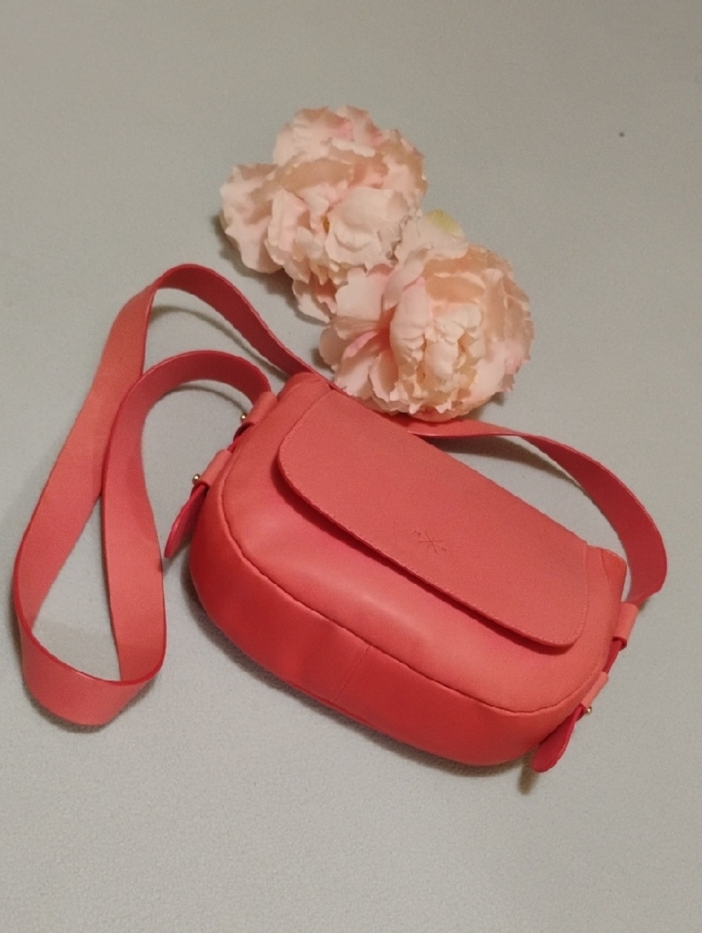 MANUFACTURE PASCAL Coral Crossbody Saddle Bag - Women